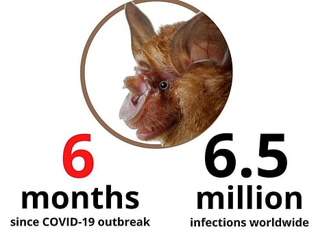 IT SEEMED LIKE FOREVER ALREADY: It's been six months since the world saw the coronavirus roll out like a slow-motion horror clip.