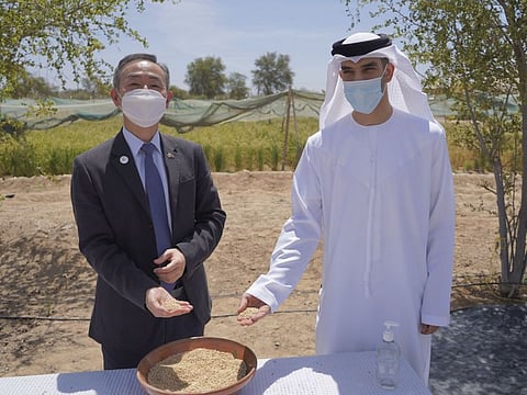 Minister Al Zeyoudi with Korean ambassador Kwon Yongwoo