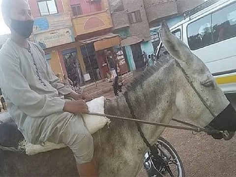 This photo of Abdo Abdullah Mohammed Sadiq wearing a face mask while riding his donkey - whose mouth and nose was also covered with a mask - has gone viral.