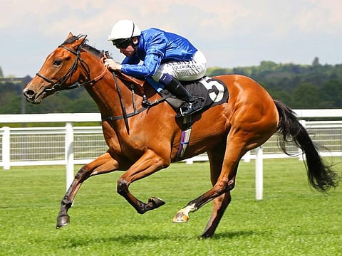 Godolphin's Final Song runs on Sunday.