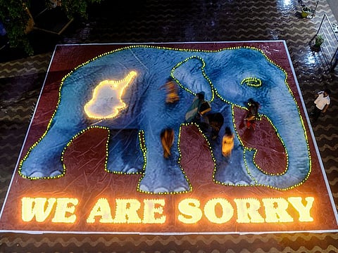 File photo: School staff light up candles on a painted poster of an elephant and its calf in the belly to pay homage after the recent killing of a pregnant wild elephant in the southern Indian state of Kerala, in Chennai on June 6, 2020.
