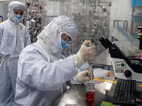 File photo: An engineer does his work on an experimental vaccine for the COVID-19 inside the Cells Culture Room laboratory at the Sinovac Biotech facilities in Beijing. Sinovac is working on at least 3 vaccine candidates, including a "killed" virus version.