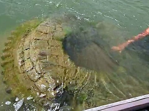 A 500-year-old temple submerged in river Mahanadi has resurfaced in Nayagarh district, in Bhubaneswar on Tuesday.