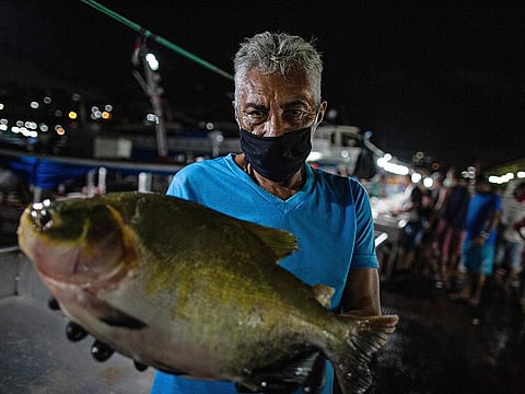 A man handles a fish at Panair Municipal Market in Manaus, Amazonas state, Brazil, on June 17, 2020, amid the new coronavirus (COVID-19) pandemic.
