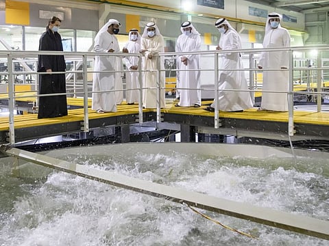 Sheikh Mohammed visited a fish farm in Dubai on Tuesday