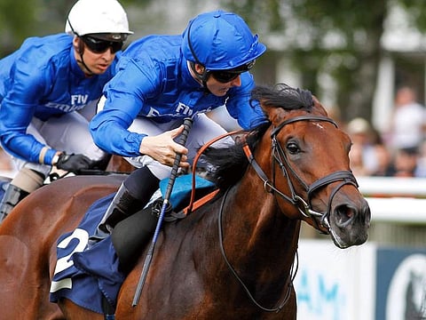 D'Bai of Godolphin comes into the race on the back of a fourth place effort in the Group 3 Kevin Heffernan Stakes at Rosehill, Australia.