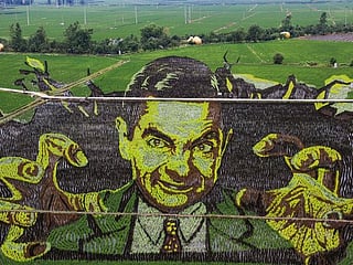 Photos: Chinese farmers create stunning art in paddy fields