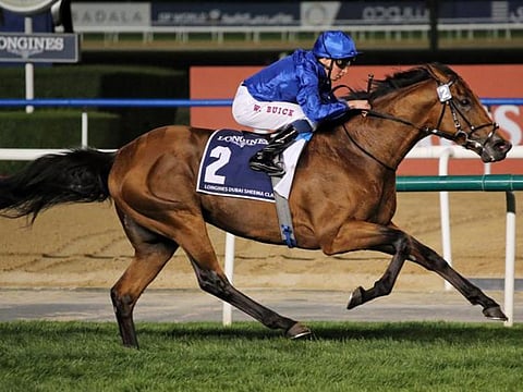 Old Persian runs in the Grand Prix de Saint-Cloud over 2,400 metres in France on Sunday Picture Godolphin website