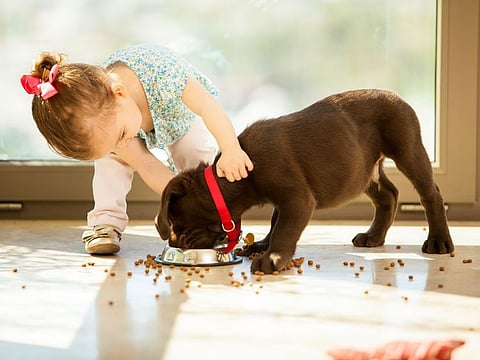 Children with dogs have better social and emotional development