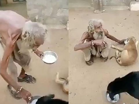 Elderly beggar seen sharing food with dogs