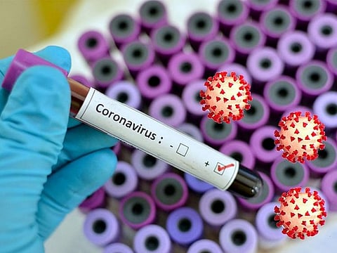 What’s the percentage of COVID-19 cases in Abu Dhabi emirate?
