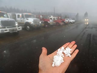 US: Hog fire in California prompt mandatory evacuations