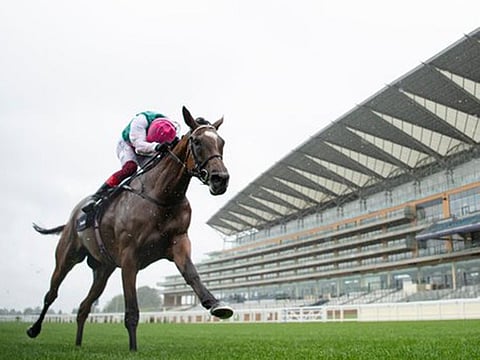 Enable wins the King George for a third time at Ascot