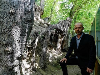 Photos: Spot where Van Gogh painted his last canvas 'discovered'