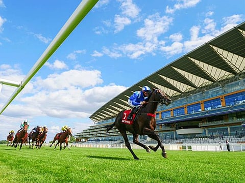 Jim Crowley steered Mohatheer (in front) to a blazing finish to win Sussex Stakes at Goodwood.