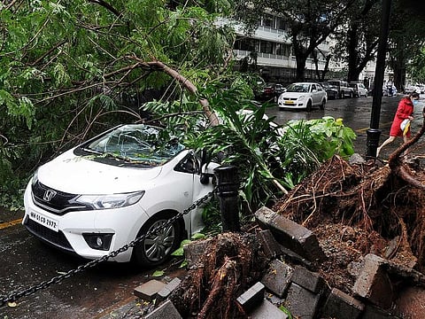 A tree lies uprooted on a car following strong winds and heavy rain in Mumbai on Thursday.