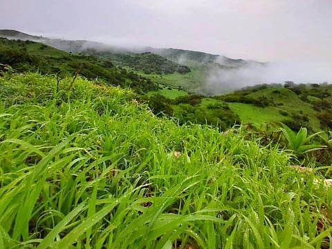 It has been raining and foggy since morning in Salalah as well with slightly stronger winds last night.