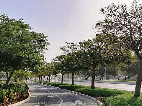 Abu Dhabi has built a number of cycling and running tracks at a cost of more than Dh106 million.