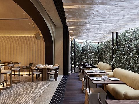 Food News: Avli by tashas launches a new summer menu