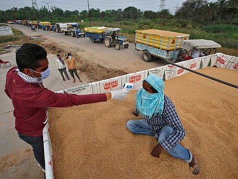 A key aim of restrictions on exports is to control rising domestic prices. Global wheat prices have risen by more than 40 per cent since the beginning of the year.