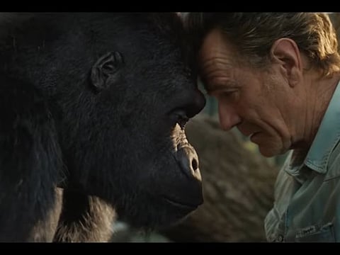 ‘The One and Only Ivan’ review: Freedom is key in Disney film about a gorilla
