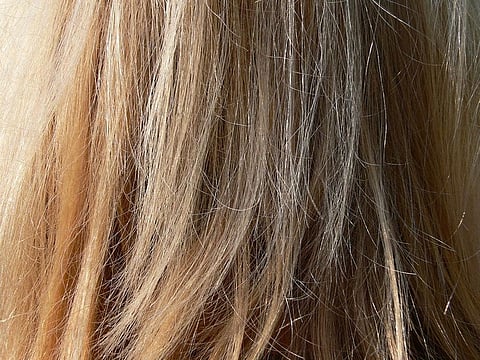 Photo for illustrative purposes