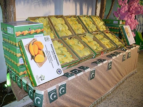 A variety of Pakistani mangoes displayed at the Jeddah festival.