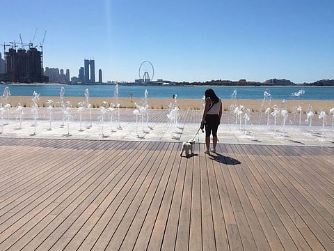 View from the Palm West Beach