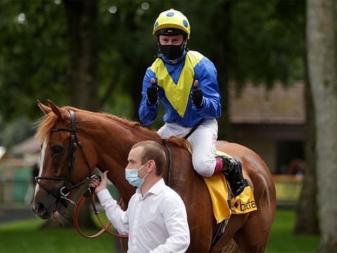 Dream Of Dreams following his Group 1 breakthrough win at Haydock Park