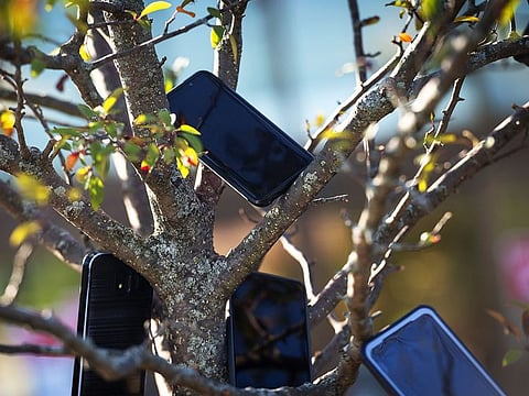 Some drivers were putting smartphones in trees outside Whole Foods and Amazon delivery stations in the Chicago area to get a jump on rivals.