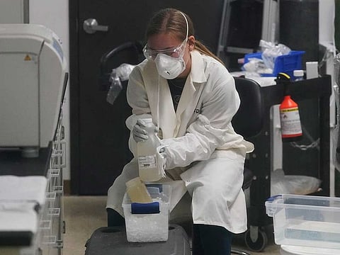 A laboratory assistant holds sewage samples collected from Utah State University dormitory's Wednesday, Sept. 2, 2020, in Logan, Utah.