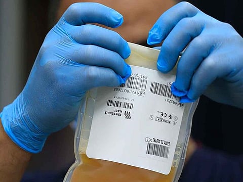 A medical staff works on plasma received from a man who recovered from COVID-19.