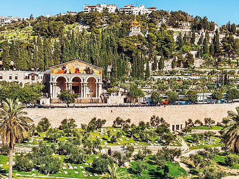Overlooking the Old City and named for the olive groves that once covered its slopes, the mount offers vast vistas for Christian contemplation of Jesus’ prophetic visions, teachings, arrest, and later, his ascension