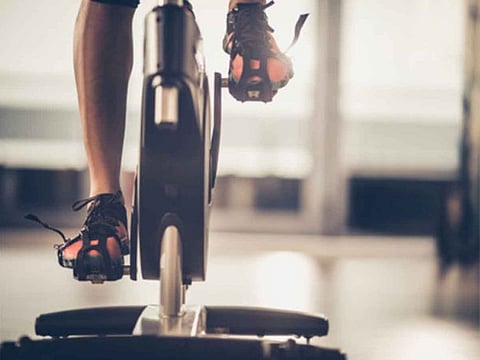 Dubai Sports Council has approved the criteria and indicators of the fitness centre classification system.