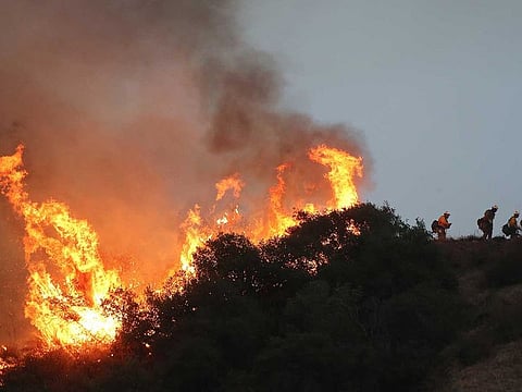 'Hotshot' firefighters work to contain the Bobcat Fire burning down a hillside on September 15, 2020 in Monrovia, California.