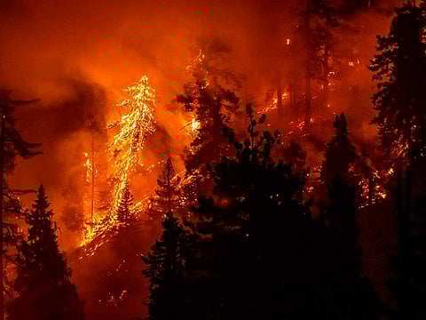 Picture for illustrative purpose only.