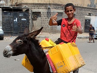 Donkeys turn into prized asset as Yemen economy sags