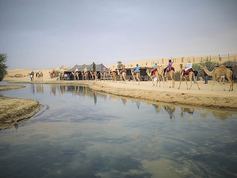 The Al Marmoom Camp in Dubai.