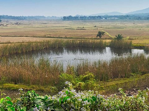 A woman in Bihar allegedly drowned her son in a pond because she wanted to marry for the fourth time.