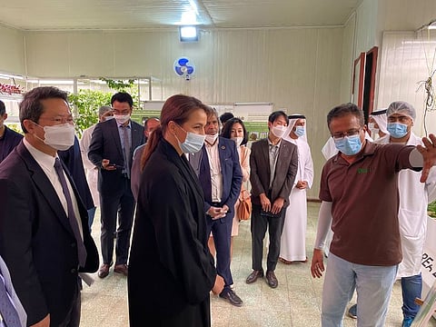 Mariam bint Mohammed Almheiri, UAE Minister of State for Food and Water Security, toured the VeggiTech farms in Al Zubair, Sharjah