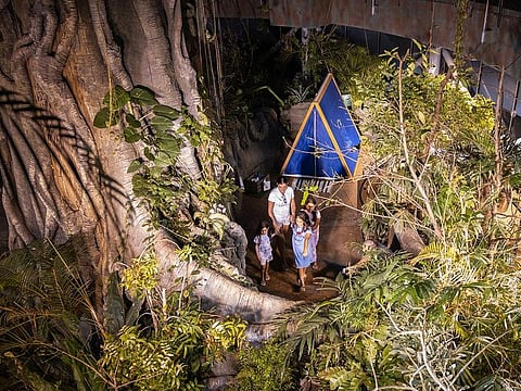 A rainforest sleepover in Dubai: You can now go camping in Green Planet