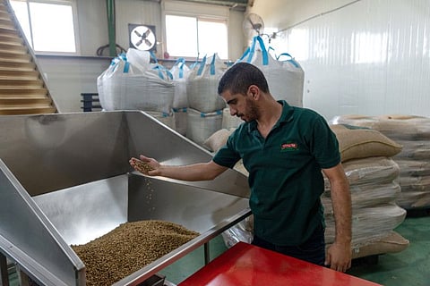 Jeries Nakhleh, export manager at El Nakhleh Coffee, in Shfaram, Israel on September 30, 2020.