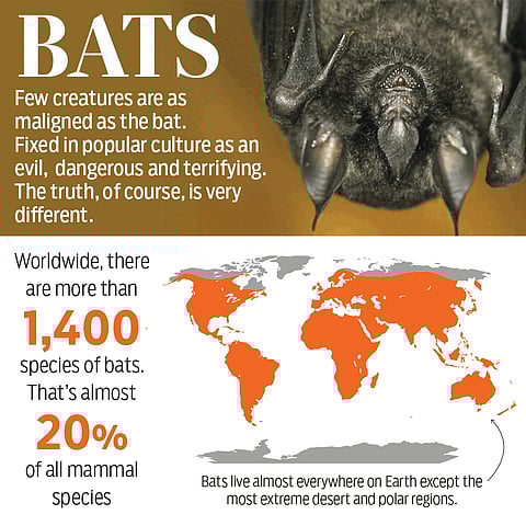 Gulf News / Seyyed de la Latta