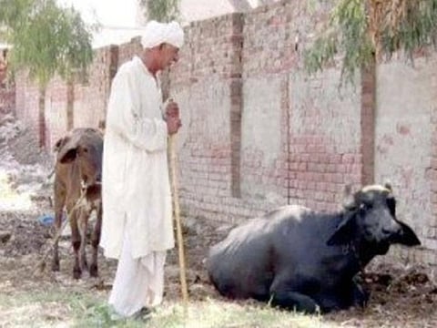 Nazeer Muhammad Najja