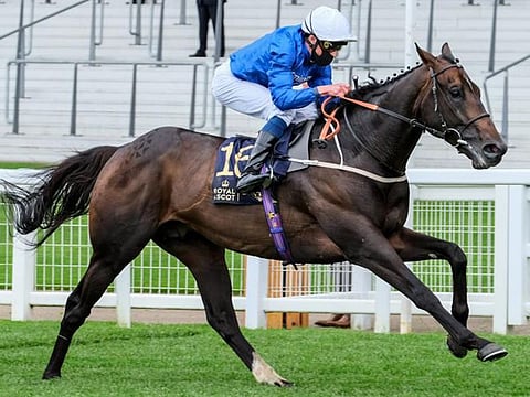Godolphin's Dark Vision