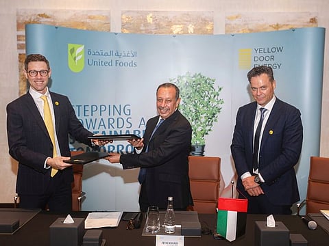 The new solar plant at United Foods' factory in Jebel Ali Insutrial Area will take up the entire rooftop area.