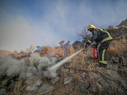 A Saudi firefighter extinguishes a bush fire in Assir.