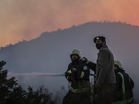 Firefighters battle the bush blaze in south-western Saudi Arabia.