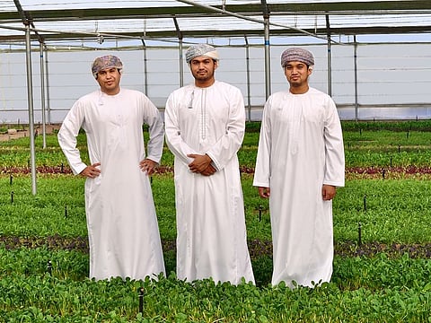 Sayyid Omar Al Said and his two brothers, Sayyid Adam Al Said and Sayyid Fahar Al Said, run the Yuzu farms.