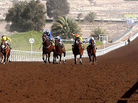 Jebel Ali will host its 11th and final race meet of the season